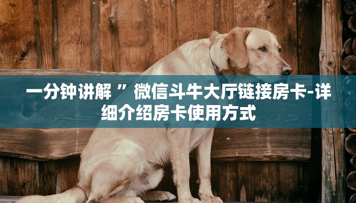 一分钟讲解 ”微信斗牛大厅链接房卡-详细介绍房卡使用方式