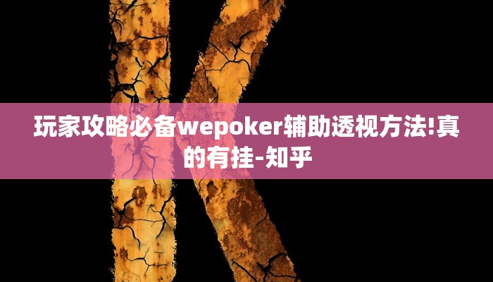 玩家攻略必备wepoker辅助透视方法!真的有挂-知乎