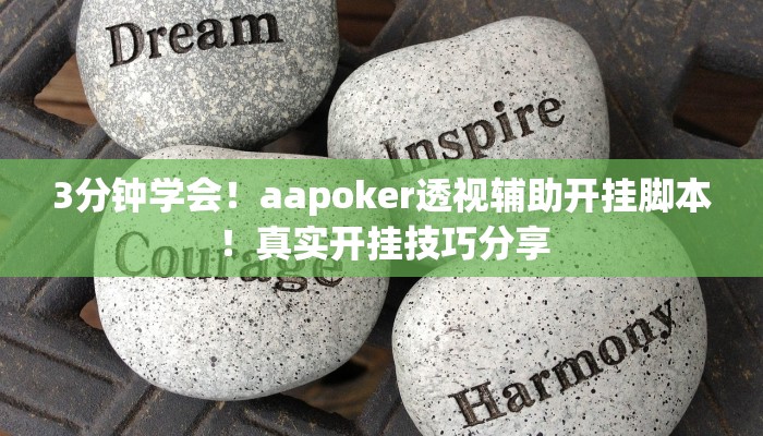 3分钟学会！aapoker透视辅助开挂脚本！真实开挂技巧分享