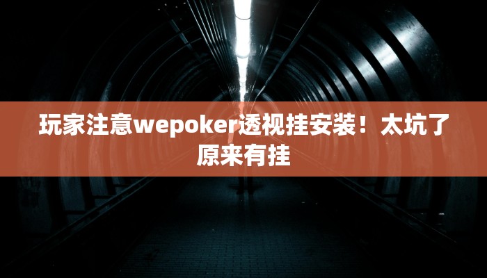 玩家注意wepoker透视挂安装！太坑了原来有挂