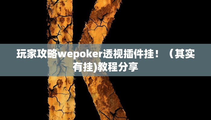 玩家攻略wepoker透视插件挂！（其实有挂)教程分享