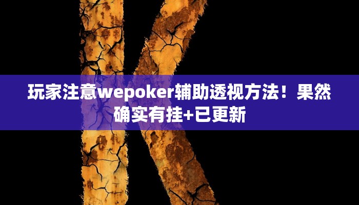 玩家注意wepoker辅助透视方法！果然确实有挂+已更新
