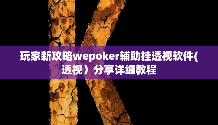 玩家新攻略wepoker辅助挂透视软件(透视）分享详细教程