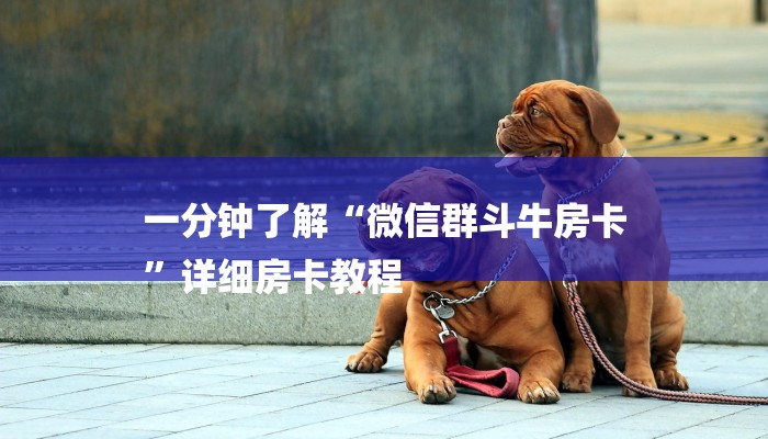 一分钟了解“微信群斗牛房卡
”详细房卡教程