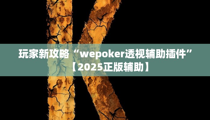 玩家新攻略“wepoker透视辅助插件”【2025正版辅助】