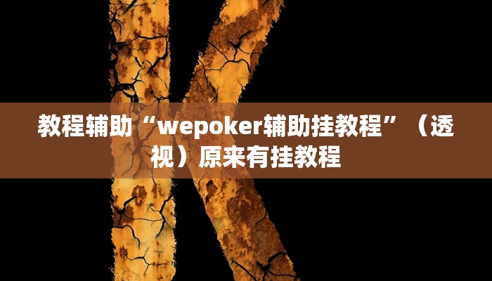 教程辅助“wepoker辅助挂教程”（透视）原来有挂教程