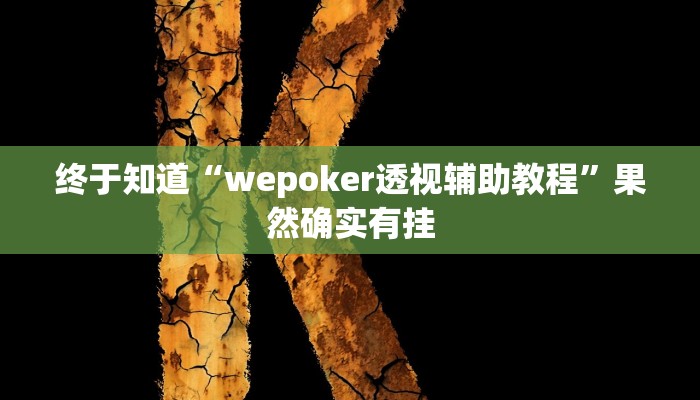 终于知道“wepoker透视辅助教程”果然确实有挂