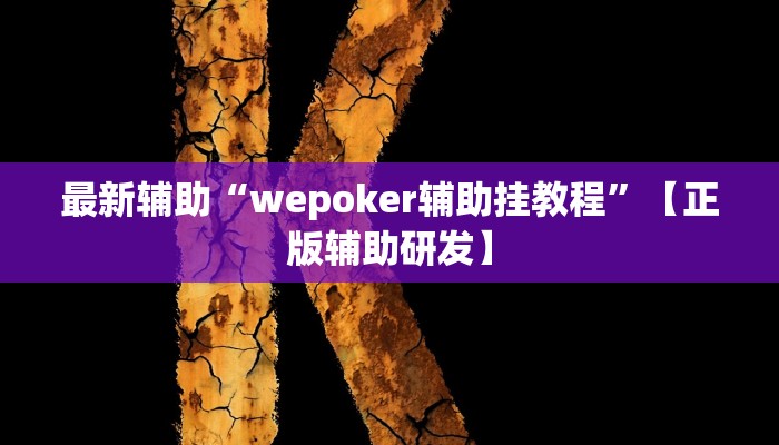 最新辅助“wepoker辅助挂教程”【正版辅助研发】