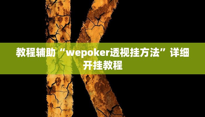 教程辅助“wepoker透视挂方法”详细开挂教程