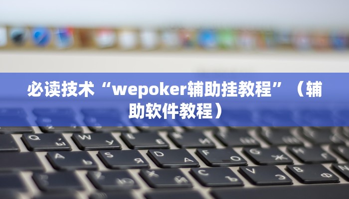 必读技术“wepoker辅助挂教程”（辅助软件教程）