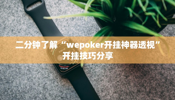二分钟了解“wepoker开挂神器透视”开挂技巧分享
