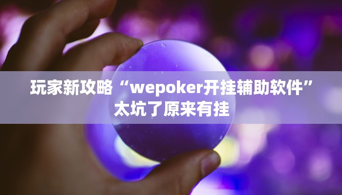 玩家新攻略“wepoker开挂辅助软件”太坑了原来有挂