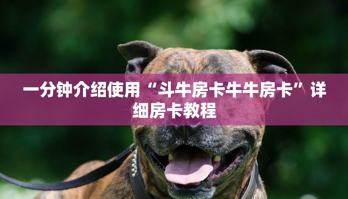 一分钟介绍使用“斗牛房卡牛牛房卡”详细房卡教程