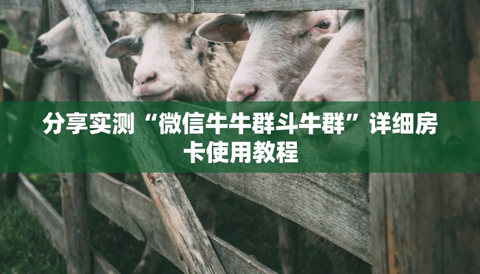 分享实测“微信牛牛群斗牛群”详细房卡使用教程