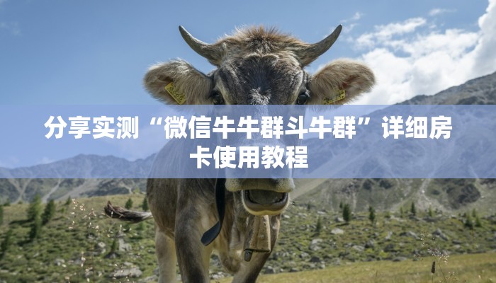 分享实测“微信牛牛群斗牛群”详细房卡使用教程