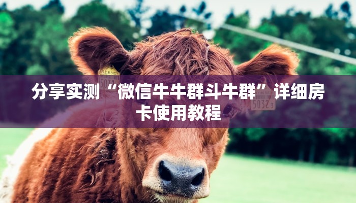 分享实测“微信牛牛群斗牛群”详细房卡使用教程