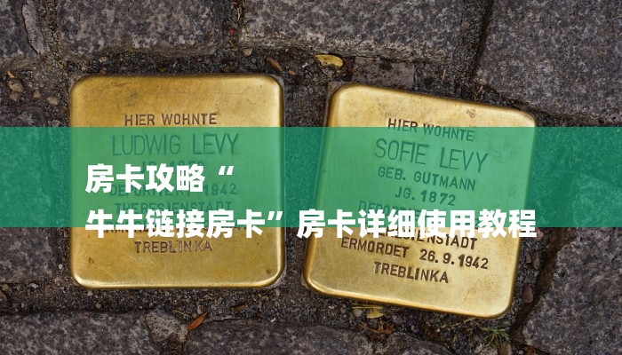 房卡攻略“
牛牛链接房卡”房卡详细使用教程