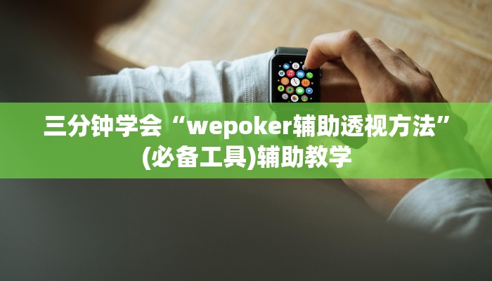三分钟学会“wepoker辅助透视方法”(必备工具)辅助教学