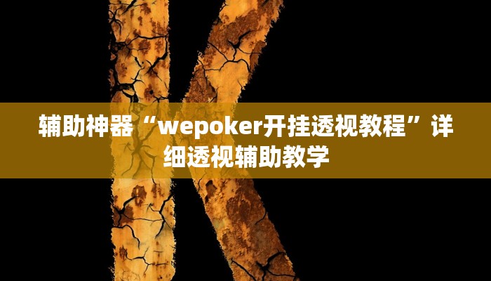 辅助神器“wepoker开挂透视教程”详细透视辅助教学