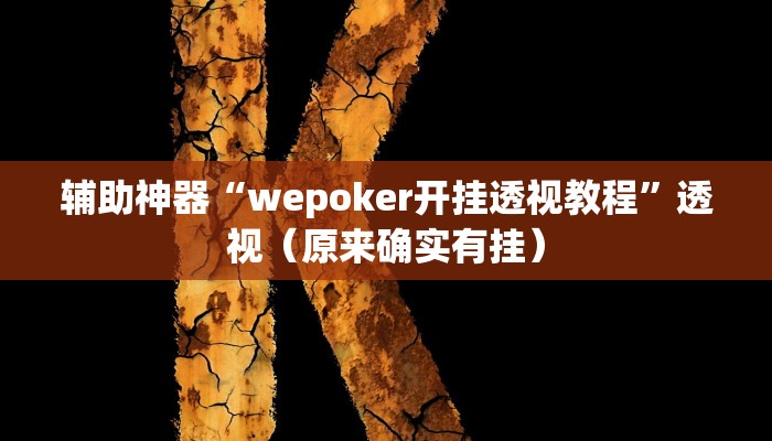 辅助神器“wepoker开挂透视教程”透视（原来确实有挂）