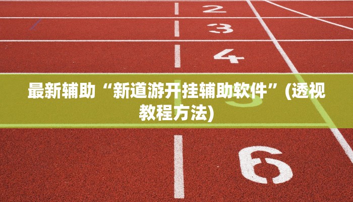 最新辅助“新道游开挂辅助软件”(透视教程方法)